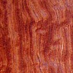 Bubinga wood photo