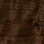 Walnut wood photo
